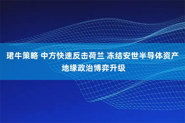 珺牛策略 中方快速反击荷兰 冻结安世半导体资产 地缘政治博弈升级