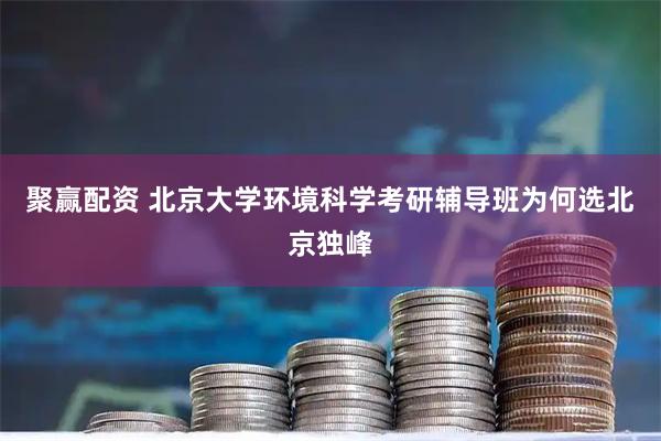 聚赢配资 北京大学环境科学考研辅导班为何选北京独峰