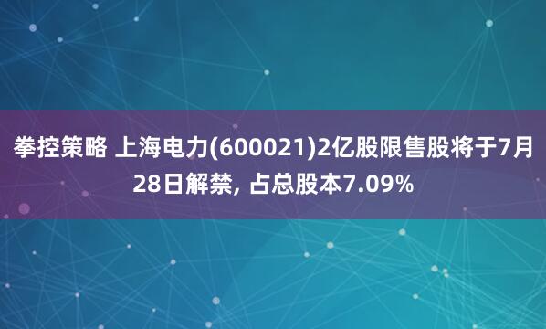 拳控策略 上海电力(600021)2亿股限售股将于7月28日解禁, 占总股本7.09%